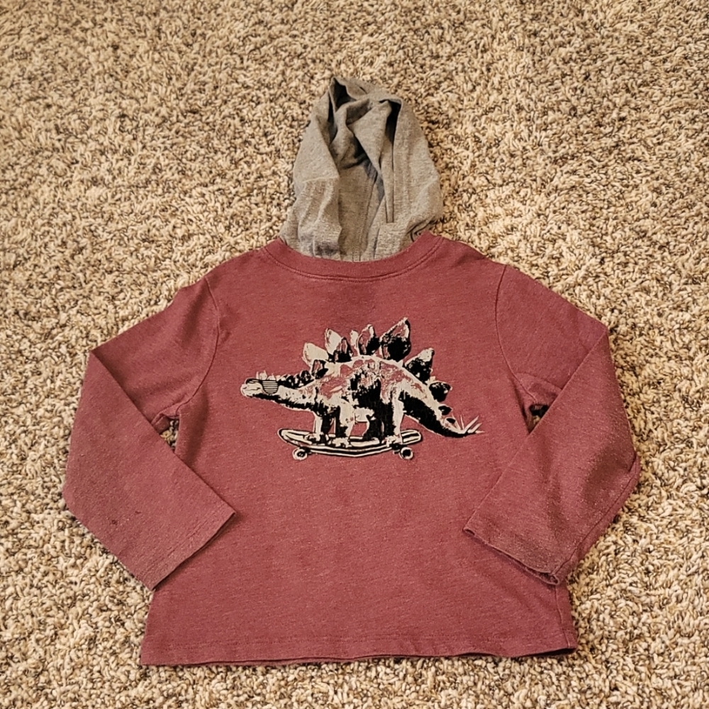 Heathered Dino Long Sleeve with hood!